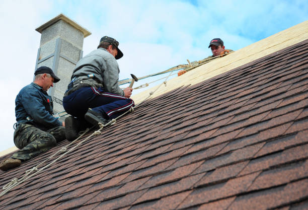 Best Shingle Roofing Installation  in Captains Cove, VA